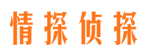 宁武市侦探公司